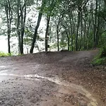 Ceiba