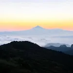Ceiba * El Rosario