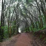 Ceiba * El Rosario