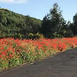 Hétvégi ház Ceiba